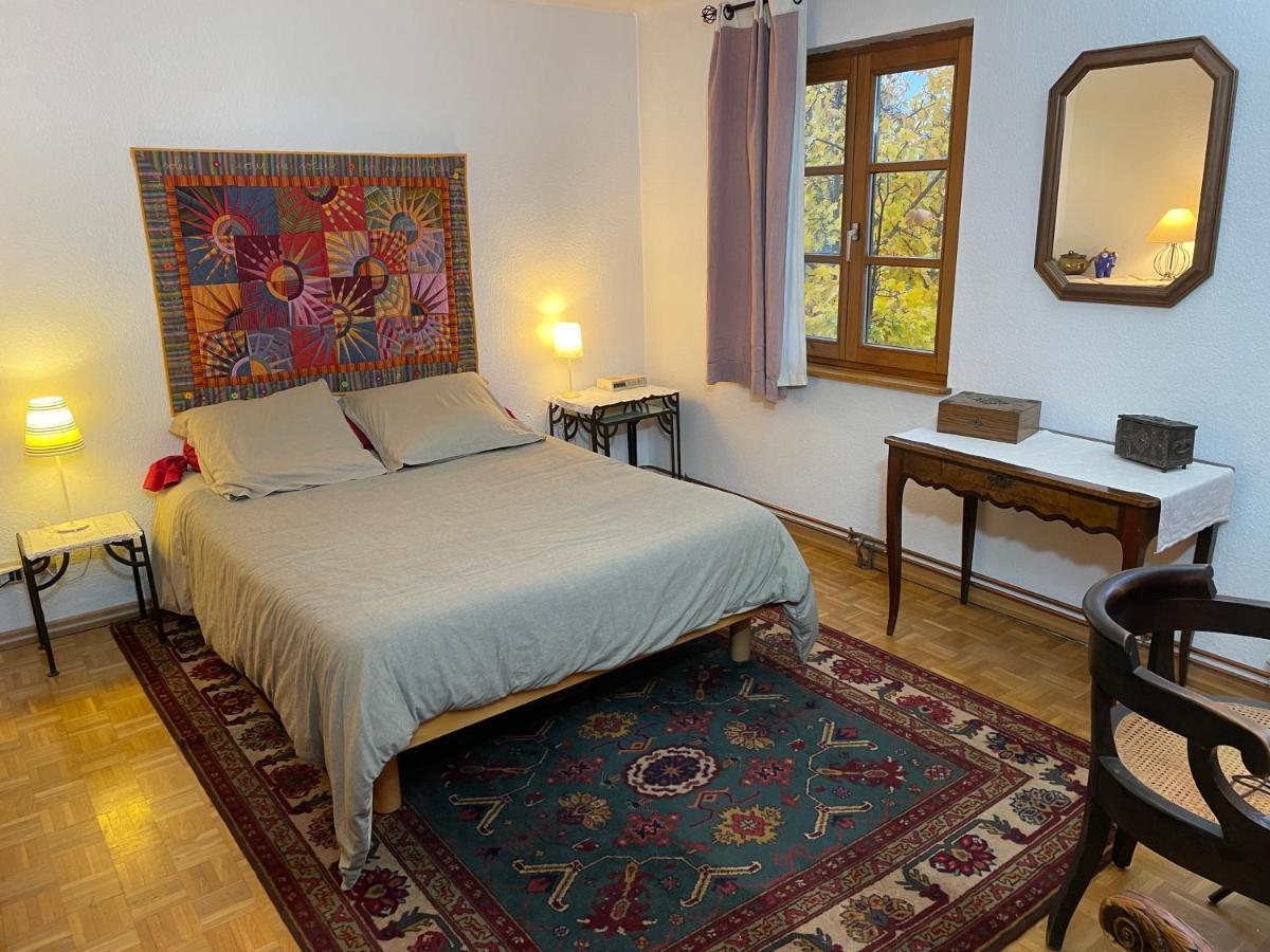 Appartement Chez Rosa à Haguenau Extérieur photo